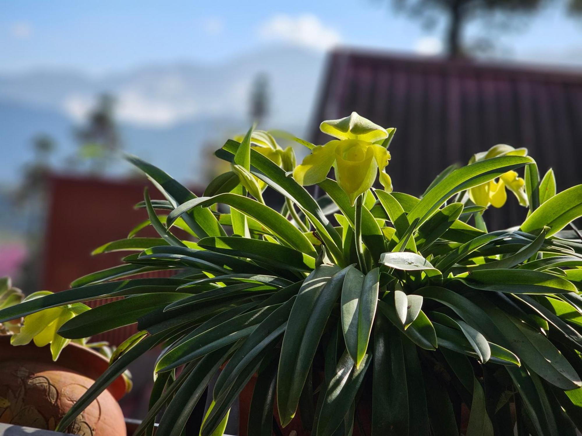 Dang Khoa Garden Inn Homestay Sapa Exterior photo