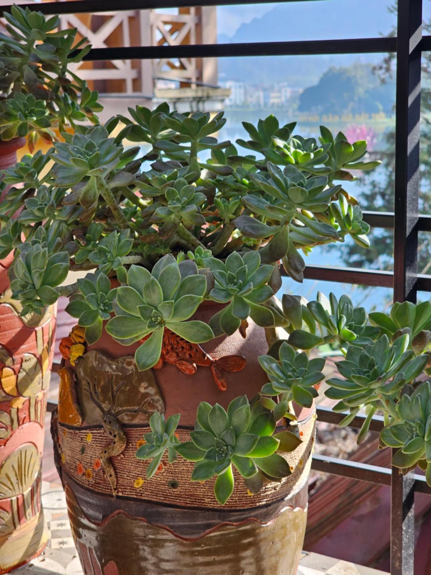 Dang Khoa Garden Inn Homestay Sapa Exterior photo