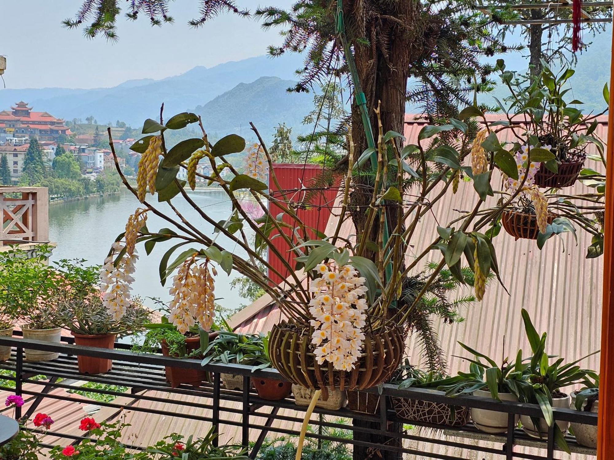 Dang Khoa Garden Inn Homestay Sapa Exterior photo