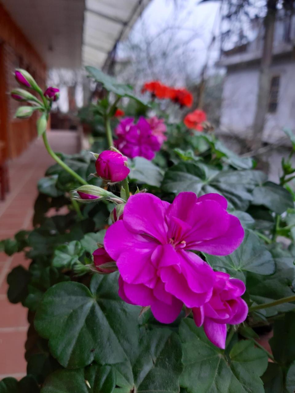 Dang Khoa Garden Inn Homestay Sapa Exterior photo