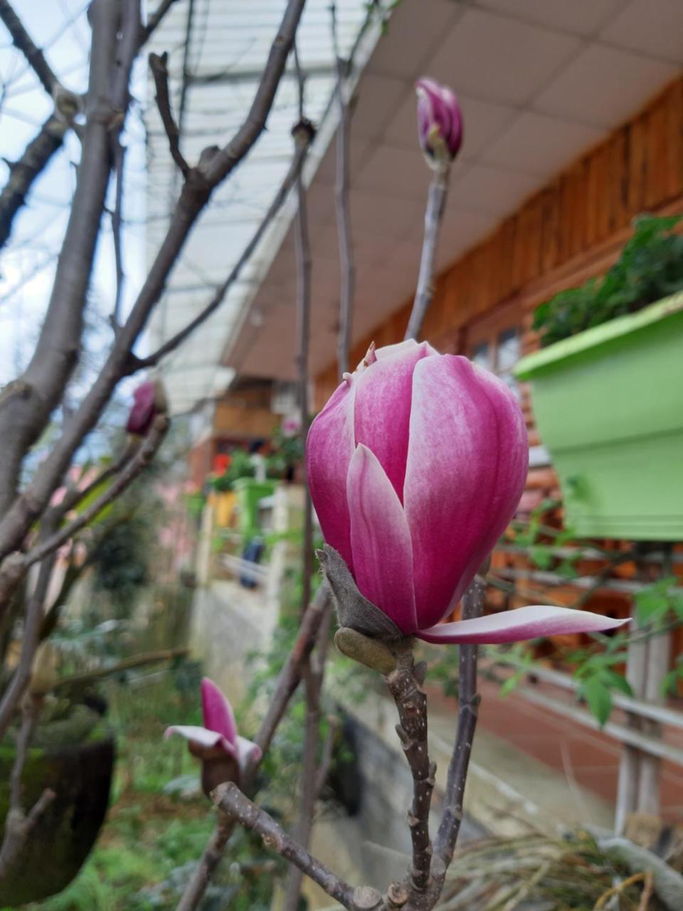 Dang Khoa Garden Inn Homestay Sapa Exterior photo